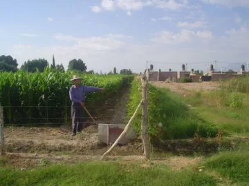 Preocupa la desaparición de las producciones hortícolas Preocupa la desaparición de las producciones hortícolas