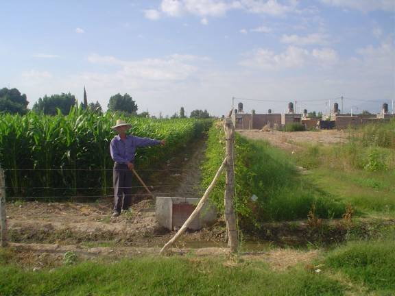 Preocupa la desaparición de las producciones hortícolas Preocupa la desaparición de las producciones hortícolas