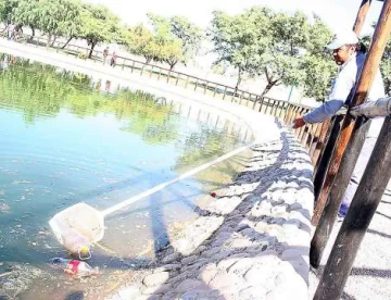 Basura, aspersores rotos y daños en los sanitarios Basura, aspersores rotos y daños en los sanitarios