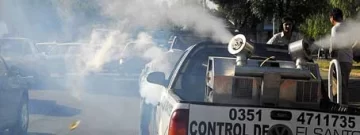 Chaco: 6 mil casos confirmados de dengue Chaco: 6 mil casos confirmados de dengue