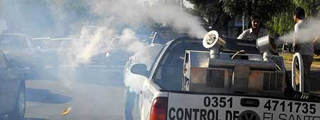 Chaco: 6 mil casos confirmados de dengue Chaco: 6 mil casos confirmados de dengue