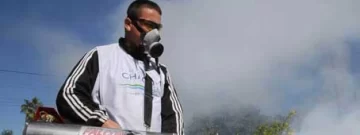 Confirman dengue autóctono en Buenos Aires Confirman dengue autóctono en Buenos Aires