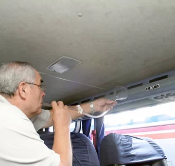 Dengue: Estudian el extraño mosquito de la ciudad Dengue: Estudian el extraño mosquito de la ciudad