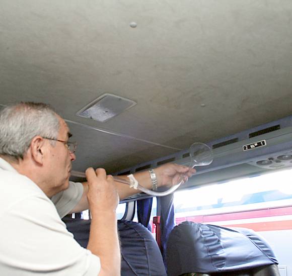 Dengue: Estudian el extraño mosquito de la ciudad Dengue: Estudian el extraño mosquito de la ciudad