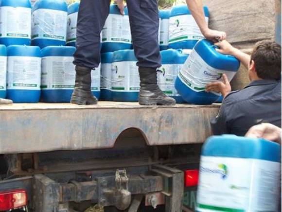 Estudios aseguran que el Glifosato no es peligroso Estudios aseguran que el Glifosato no es peligroso