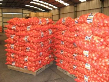 Cebolla del sur ya puede acceder a sello de calidad Cebolla del sur ya puede acceder a sello de calidad