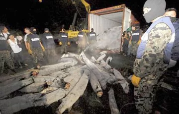 ¿Un nuevo rey de la cocaína? ¿Un nuevo rey de la cocaína?