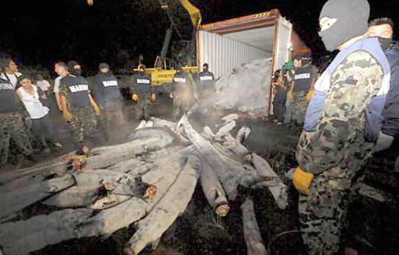 ¿Un nuevo rey de la cocaína? ¿Un nuevo rey de la cocaína?