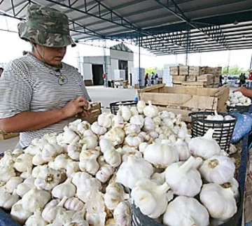 La producción local pide un dólar a más de 4 pesos