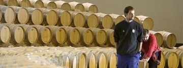 La venta de vino y mosto, en picada La venta de vino y mosto, en picada