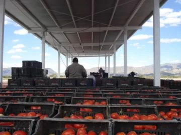 La Asociación Tomate 2000 entró en Jáchal e Iglesia La Asociación Tomate 2000 entró en Jáchal e Iglesia