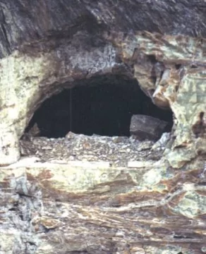 Una localidad tan verde como el ónix Una localidad tan verde como el ónix