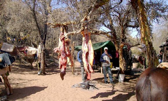 Otra travesía y obras para honrar a Martina Chapanay Otra travesía y obras para honrar a Martina Chapanay