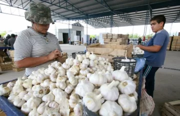 Nace una nueva entidad de productores desde Pocito Nace una nueva entidad de productores desde Pocito