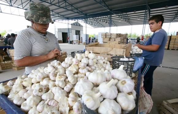 Nace una nueva entidad de productores desde Pocito Nace una nueva entidad de productores desde Pocito