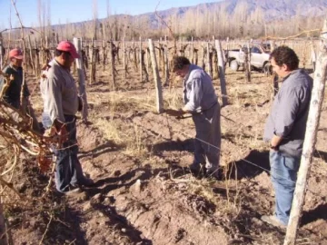 Calingasta da la nota en enoturismo y gastronomía Calingasta da la nota en enoturismo y gastronomía
