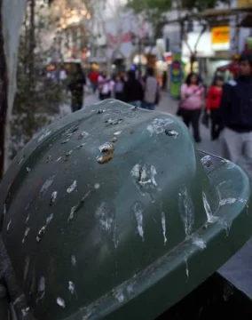 Peatonal: quieren usar halcones para espantar los tordos Peatonal: quieren usar halcones para espantar los tordos