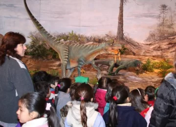 La prehistoria marca un récord que hace historia La prehistoria marca un récord que hace historia