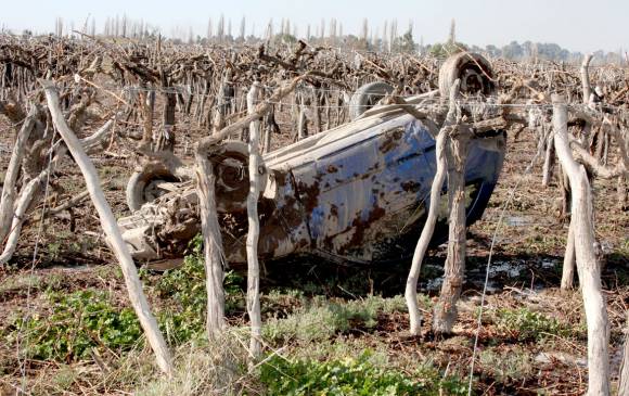 Salvados de milagro Salvados de milagro