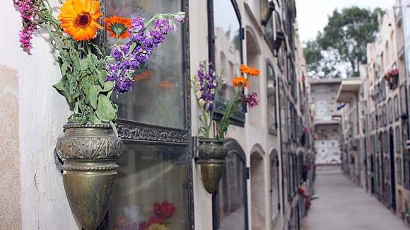 Dengue: precaución en los cementerios Dengue: precaución en los cementerios