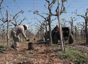 Agro post helada: Sin daños importantes Agro post helada: Sin daños importantes