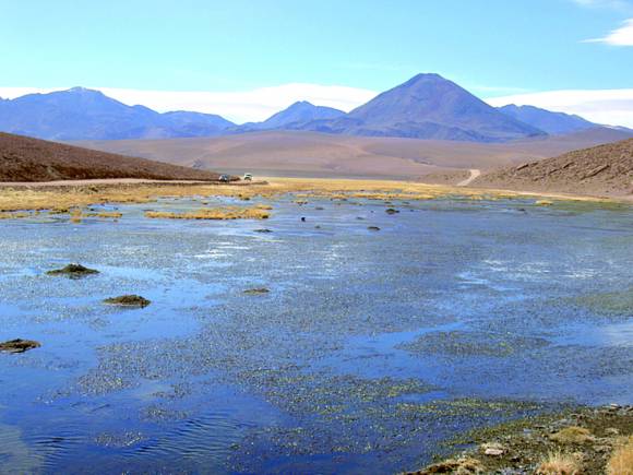 Agua: el elemento que da mina Agua: el elemento que da mina
