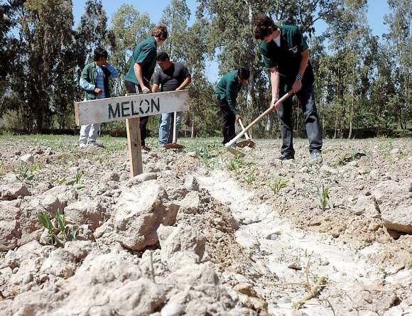 La escuela que siembra, pero que no tiene agua La escuela que siembra, pero que no tiene agua