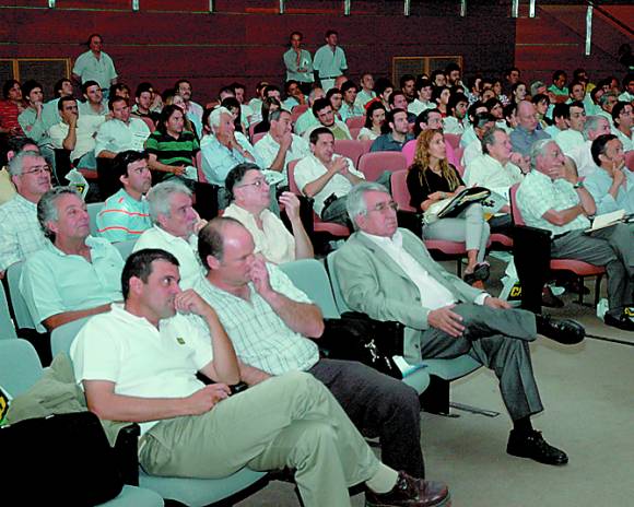 La crisis no frena más de $20 millones a invertir en olivos La crisis no frena más de $20 millones a invertir en olivos