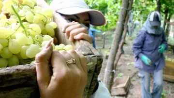 Preparan una batería de créditos para el agro Preparan una batería de créditos para el agro