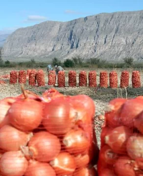Explosivo aumento de los precios de ajos y cebollas Explosivo aumento de los precios de ajos y cebollas