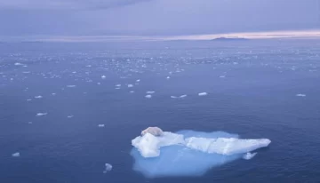 Científicos adulteraron datos sobre el cambio climático Científicos adulteraron datos sobre el cambio climático