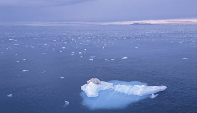 Científicos adulteraron datos sobre el cambio climático Científicos adulteraron datos sobre el cambio climático