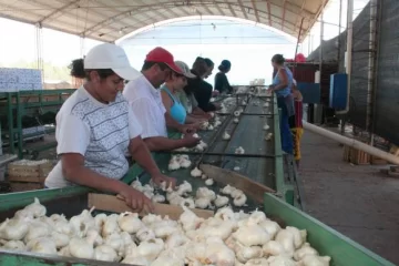 “La inflación del 2010 superará el 20%” “La inflación del 2010 superará el 20%”