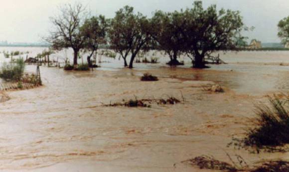 150 evacuados por el temporal 150 evacuados por el temporal