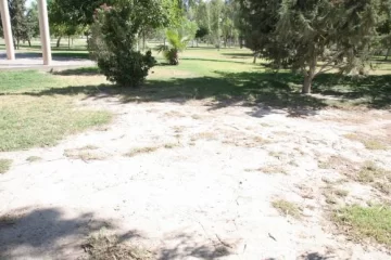 Parque de Rawson, en coma Parque de Rawson, en coma