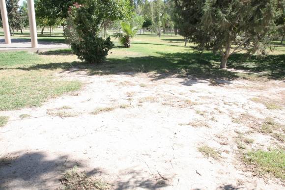 Parque de Rawson, en coma Parque de Rawson, en coma