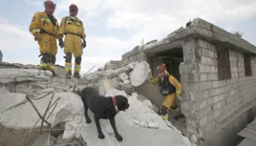 Rescatistas relevan el impacto del nuevo sismo en Haití Rescatistas relevan el impacto del nuevo sismo en Haití
