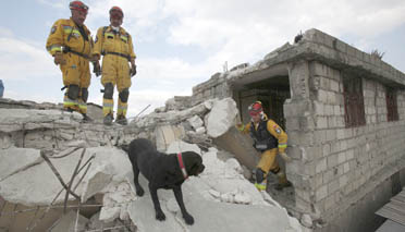 Rescatistas relevan el impacto del nuevo sismo en Haití Rescatistas relevan el impacto del nuevo sismo en Haití