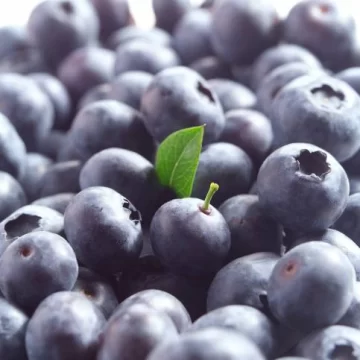 Ventajas de las hierbas medicinales Ventajas de las hierbas medicinales