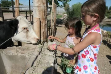 Colonias que no pasan por agua