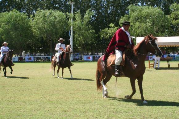 Habrá que pagar $35 para participar con un caballo en un evento Habrá que pagar $35 para participar con un caballo en un evento