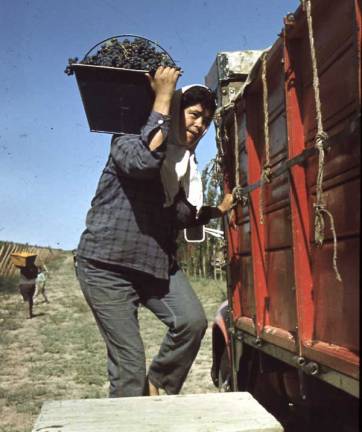 Cosecha lerda Cosecha lerda