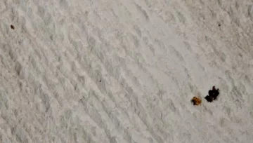 Tragedia en el Mercedario: están rescatando el cuerpo del andinista Tragedia en el Mercedario: están rescatando el cuerpo del andinista