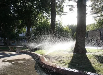 Plazas: otra vez las riegan por aspersión tras 5 años Plazas: otra vez las riegan por aspersión tras 5 años