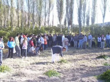 Inusitado interés causó el curso sobre alcaparras Inusitado interés causó el curso sobre alcaparras