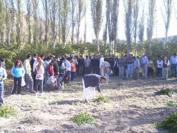 Inusitado interés causó el curso sobre alcaparras Inusitado interés causó el curso sobre alcaparras