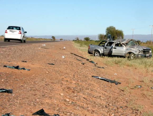 Impulsan ley para evitar los accidentes por animales sueltos Impulsan ley para evitar los accidentes por animales sueltos