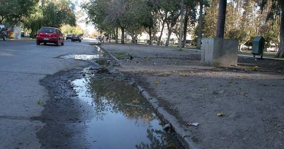 Empezaron a sacar los pancheros del Parque Empezaron a sacar los pancheros del Parque