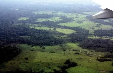 Perú: “oro ecológico”, alternativa sin mercurio Perú: “oro ecológico”, alternativa sin mercurio