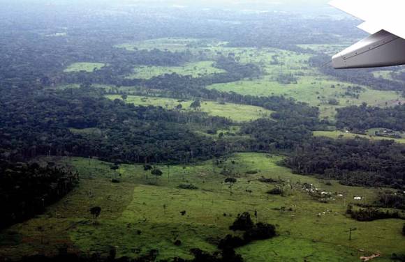 Perú: “oro ecológico”, alternativa sin mercurio Perú: “oro ecológico”, alternativa sin mercurio